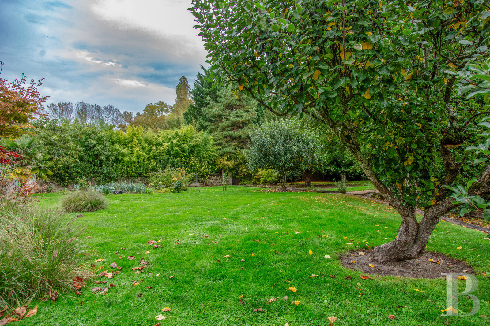 En Anjou, à l’ouest de Saumur,  un ancien presbytère du 18e siècle en bord de Loire pour de calmes séjours - photo  n°63